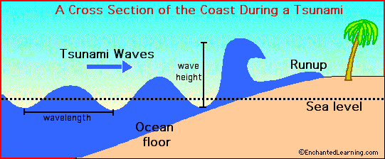 A Tsunami Wave