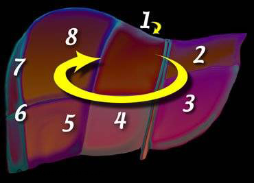 Capsule Endoscopy Procedure Code