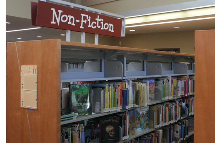 Children Reading Books In Library