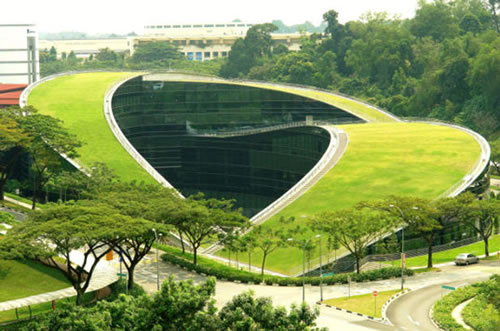 Green Grass Roof