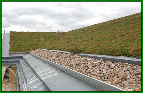 Green Grass Roof