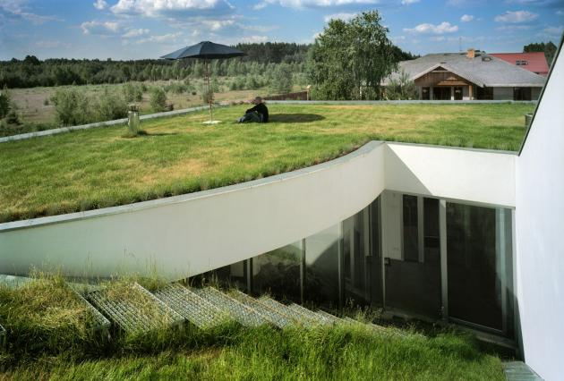 Green Grass Roof