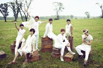 Infinite Summer Concert Dvd