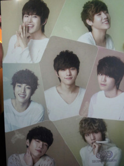 Infinite Summer Concert Goods