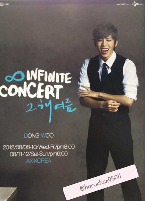 Infinite Summer Concert Poster