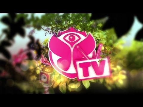 Tomorrowland Festival 2012 Youtube